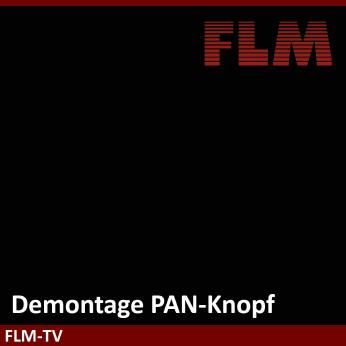 PAN-Knopf demontieren